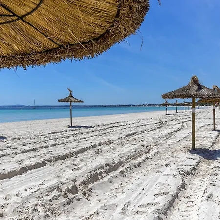 Just 150 M From The Alcudia